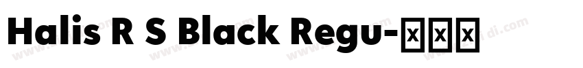 Halis R S Black Regu字体转换